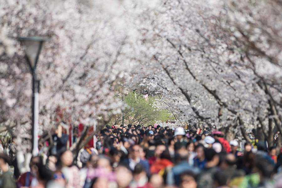 Ten photos from across China: March 24-31