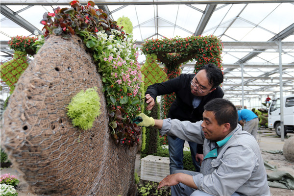 Beijing landscaper finds his garden bliss