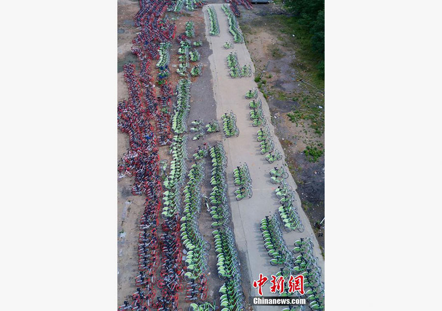 Aerial photos depict China's booming bike-sharing trend