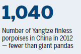 Critically endangered Yangtze porpoise thrives in 2 reserves