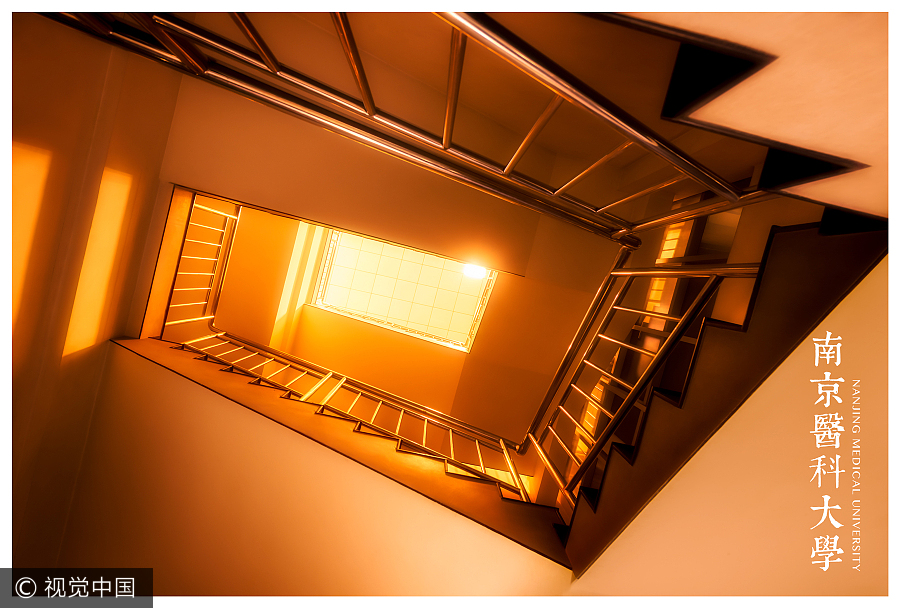 Photographer captures beauty of spiral staircases in campuses