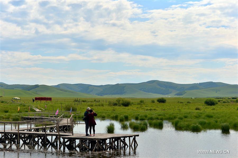 Beautiful scenery of Saihanba in N China