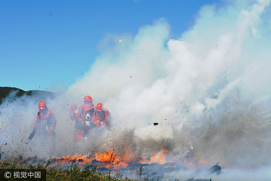 Inner Mongolia holds forest fire prevention drill