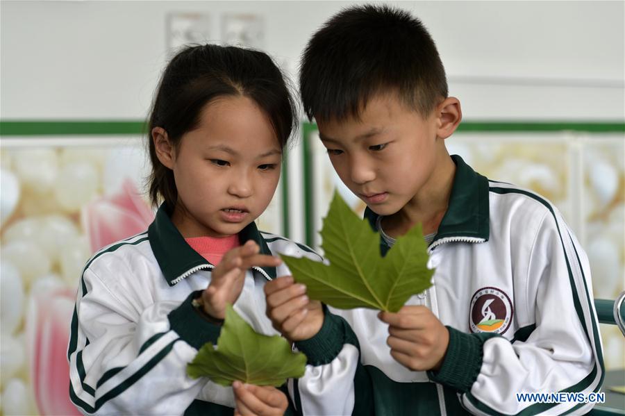 China increases science education to boost innovation