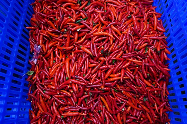 Hot pepper industry helps county out of poverty in Hunan