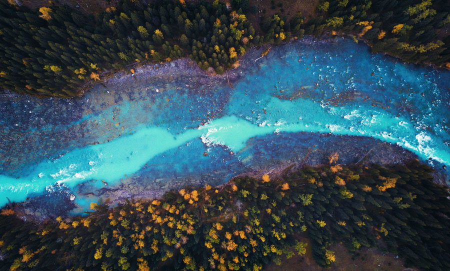 Bathed in blue and gold: Stunning autumn scenes in Xinjiang