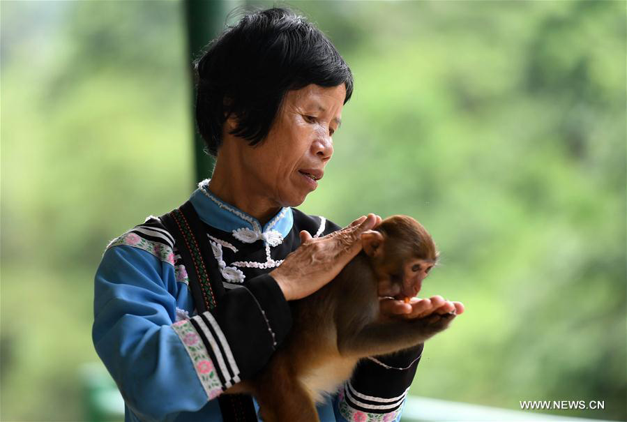 'Monkey mother' Pan Huifen