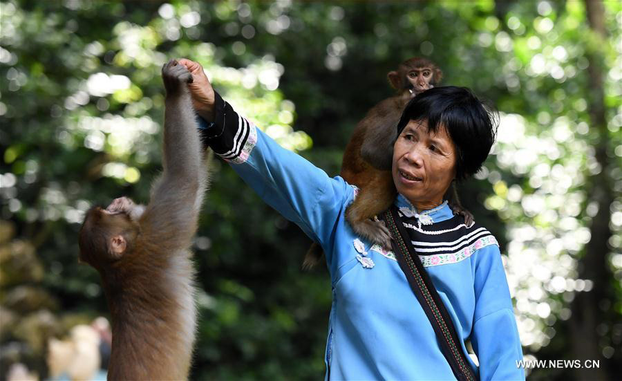 'Monkey mother' Pan Huifen