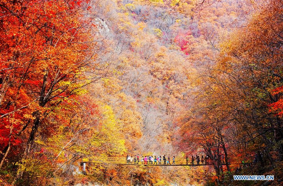In pics: autumn scenery across the country
