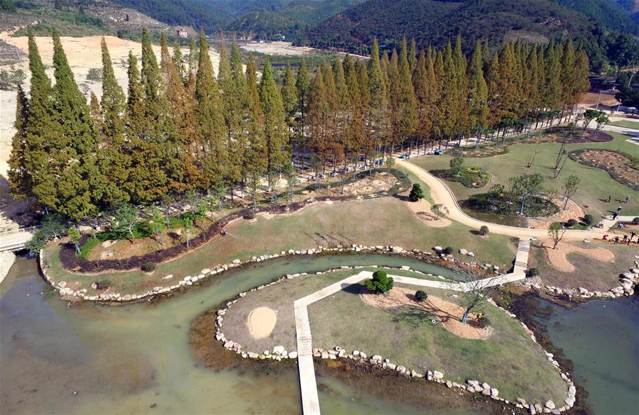 Leisure farming projects built to promote ecological agriculture in Fujian