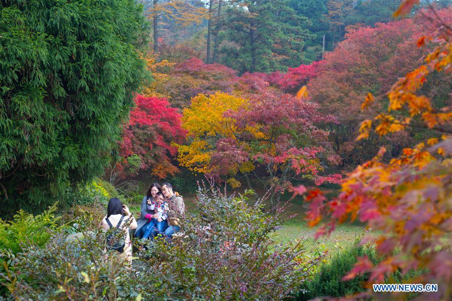 Red leaves of Lushan Mountain attract tourists
