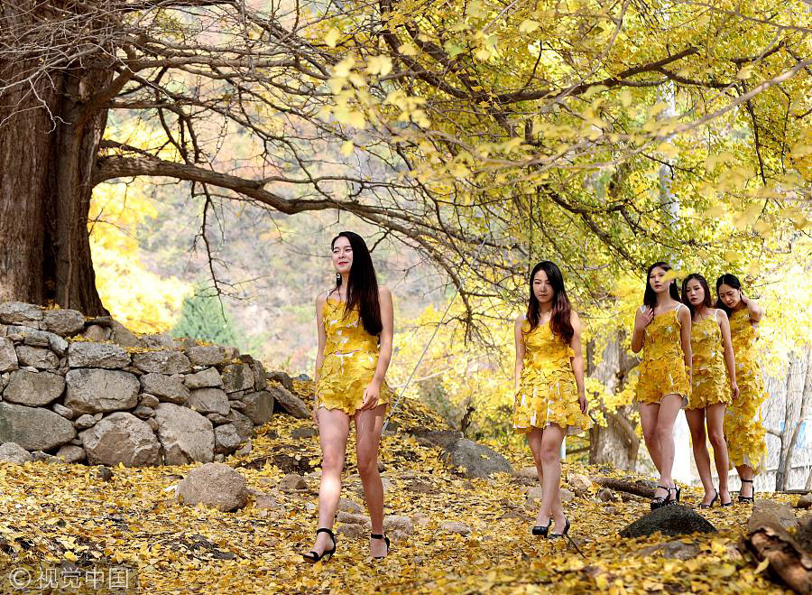 College students wear golden clothes made of gingko leaves