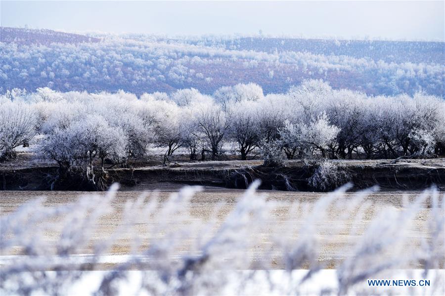 Rime scenery in Northeast China's Heilongjiang