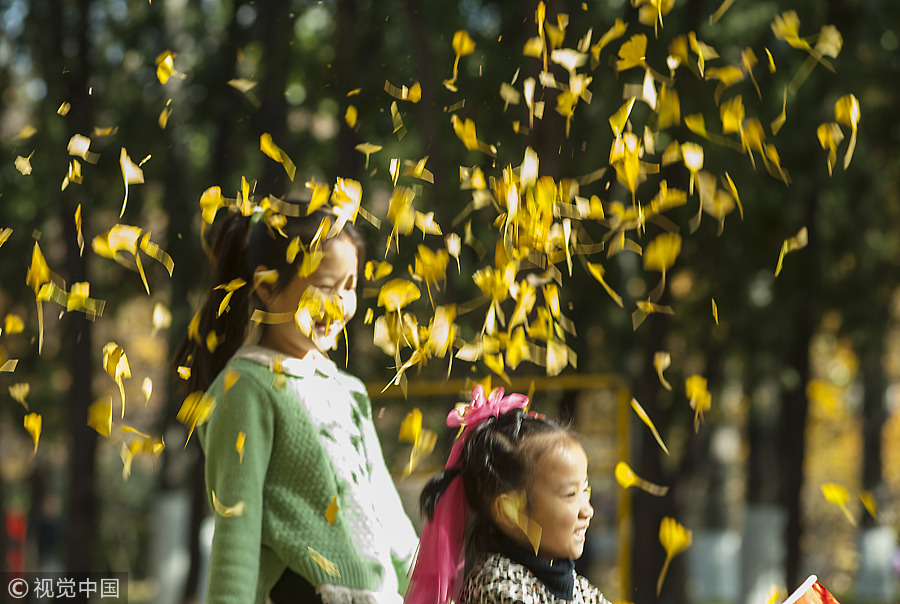 Fun with golden gingko leaves across China