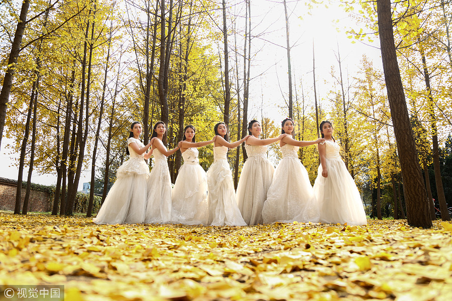 Fun with golden gingko leaves across China