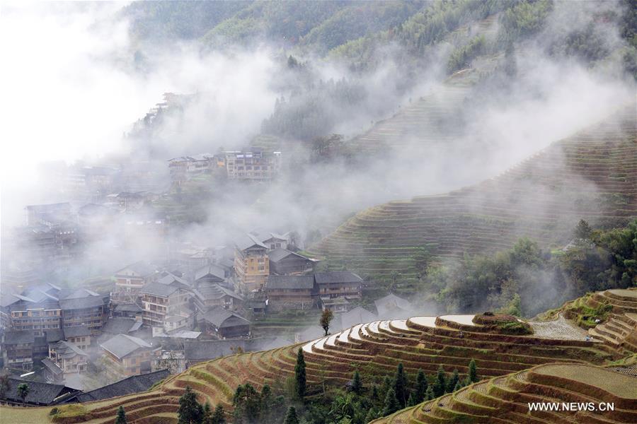 Scenery of terraced fields in South China's Guangxi