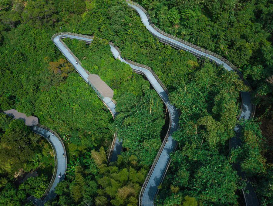 'Fudao' skywalk in East China's Fujian