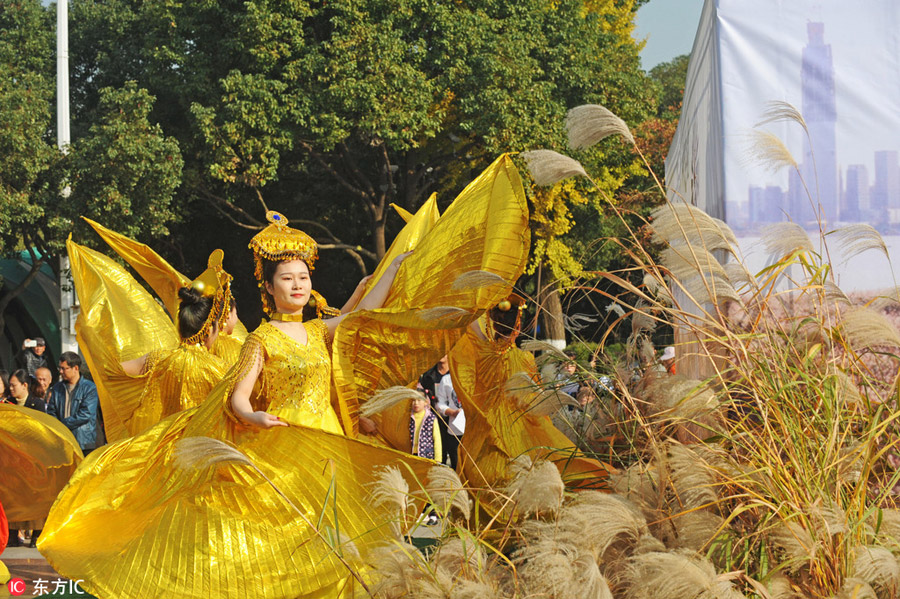Reed Catkin Festival held in Wuhan
