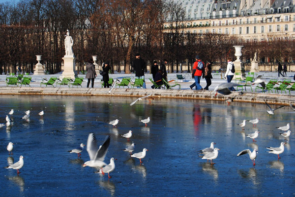 My Christmas in Paris