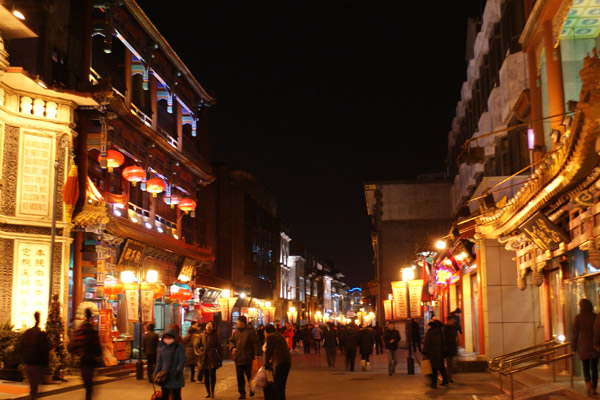 New Year 2011 in Beijing