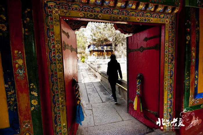 Lhasa, a city of sunlight