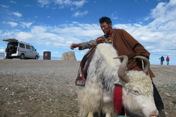 Riding yaks along the rooftop of the world