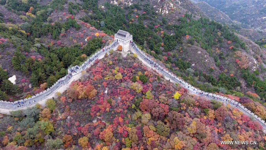 Les couleurs automnales de la Grande Muraille à Pékin