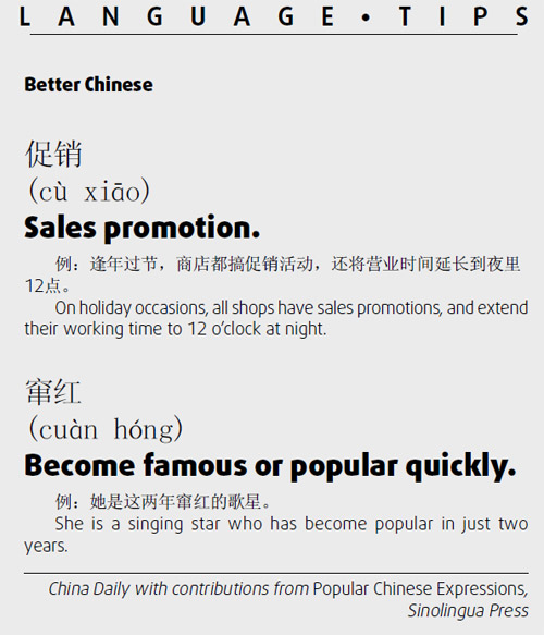 促销　Sales promotion (cu xiao)