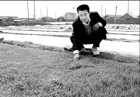 Reaping the harvest of modern farming