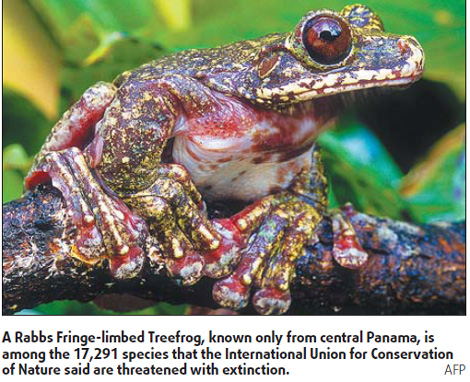 Fish, flies and frogs fast disappearing, says co