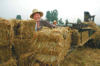 Simple houses made from straw