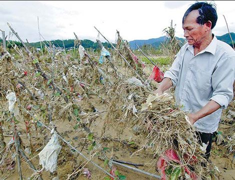 Guangdong government plans more aid in poverty-alleviation program