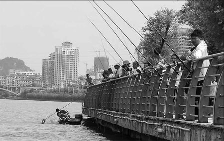 City on hunt for piranha in river