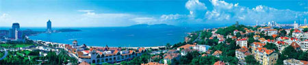 Qingdao seeks intl partners to drive its growth