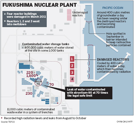 New leak at Fukushima after rain