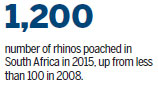 Veterans seek new role in war against poaching