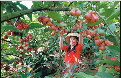 Tropical agriculture industry to flourish
