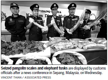 Malaysia seizes pangolin scales, ivory worth almost $1m