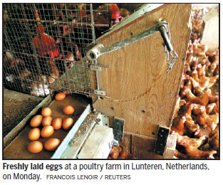 Eggs scandal spreads to UK, France