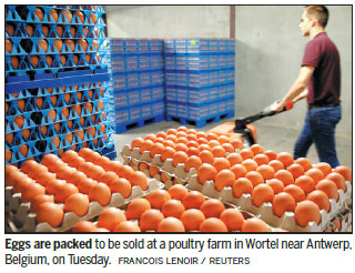 Egg probe widens to chicken meat tests