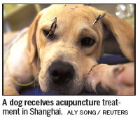 Acupuncture becomes a prickly cure for pampered pets
