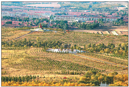 Shanxi's Youyu wins the battle to create forests from barren land