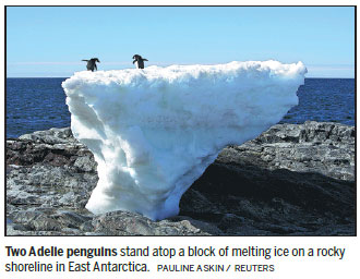 The plight of Antarctica's penguins