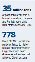 'Few chances' for New Delhi to avoid another 'airpocalypse'