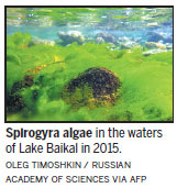 World's deepest lake in peril, scientists warn