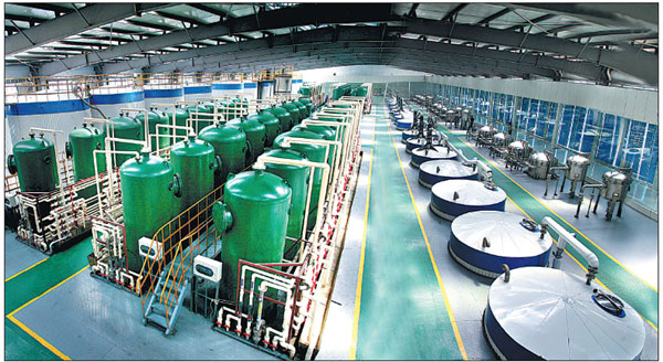 Xiwang Group rides wave of high-end products, businesses to success