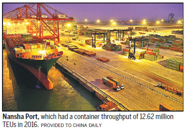 Robust transport network shapes dreams