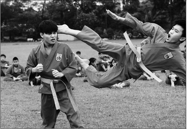 Kicking gaming addiction with Vietnam's martial art