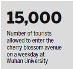 Cherry blossom ticket scalpers nipped in the bud