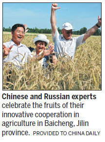 Grain that made plain soil arable once again